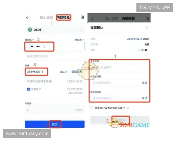 在ag国际厅官网上如何进行充值与提现操作流程详尽说明