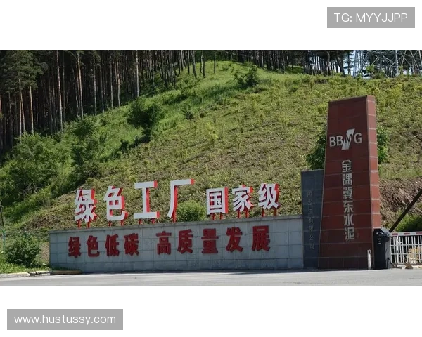 J9九游集团未来发展战略与创新举措详解助力玩家把握行业发展趋势